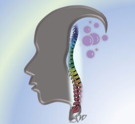 Naturheilpraxis  für körperorientierte Psychotherapie